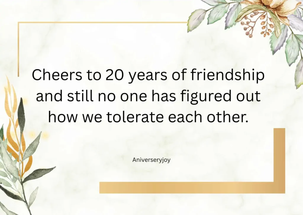 Funny 20 Year Anniversary Quotes for Friends