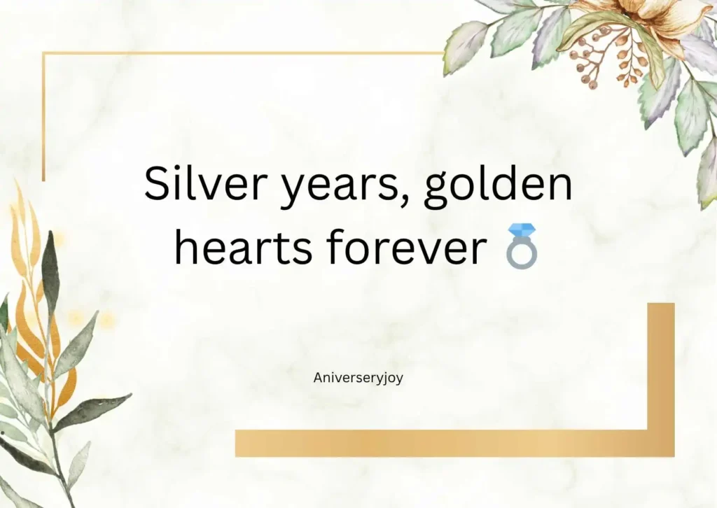 Silver jubilee romance quotes